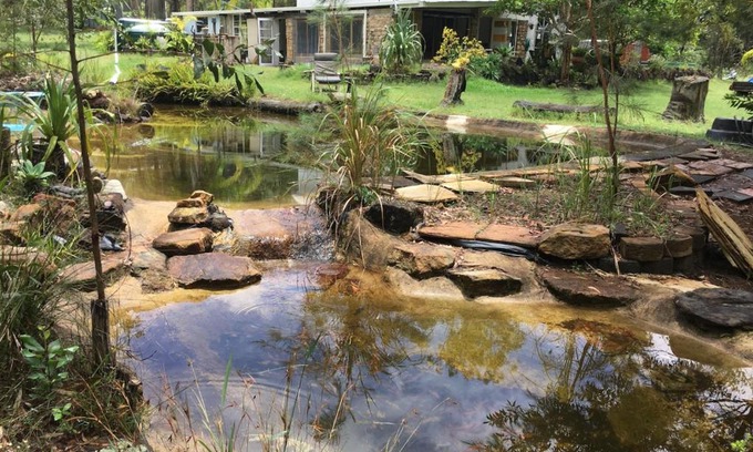 Gurranang Other | Yamba Hinterland bush retreat - Vintage bus stay