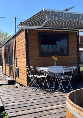 Sofiivska Borshchahivka Apartment | Yard House