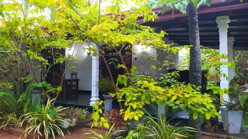 Sigiriya House | Yashi's Place Sigiriya