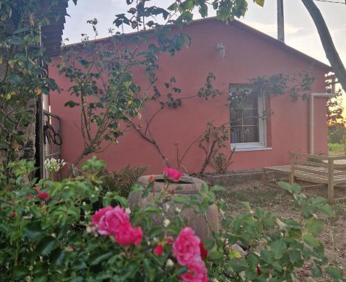 Montrevault-sur-Evre Apartment | Ylang maison au calme en campagne