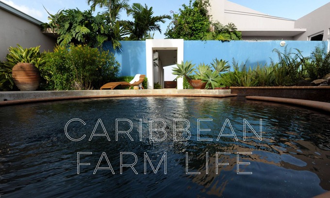 Llanos Tuna Bed & Breakfast | Your home away from home on the Farm, 4 Casitas Bed n Breakfast - Casita 1