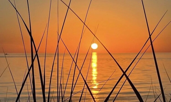 Port Sheldon Cottage | Your private beach on Lake Michigan . book N O W! 6Night just opened Jul 6-12