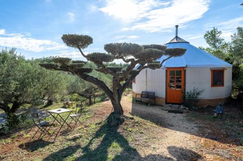Camarles Other | Yurta Mongola Delta del Ebro