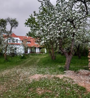 Bicfalau Bed & Breakfast | Zöld Diófa Panzió