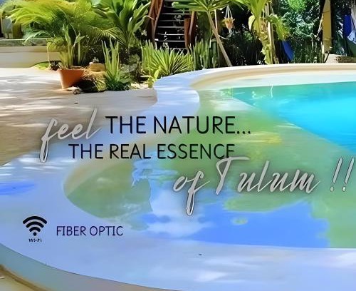 Tulum City Center Hotel | Zamunda Garden View