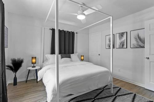 Tampa Apartment | Zebra House - Close 2 all TampaBay has to offer