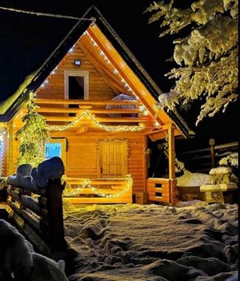 Olovo House | Zelena čarolija