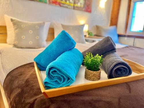 Altstadt Apartment | Zentrale Wohlfühloase inkl Parkplatz - Zum blauen Schild