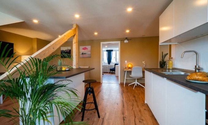 Saarbruecken Apartment | Zentrales 70-qm-dach-apartment für 4 Pers