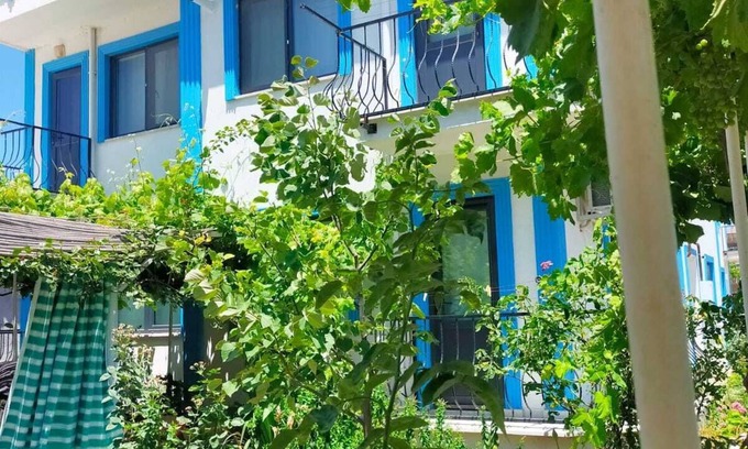 Geyikli Bed & Breakfast | Zeytin Cicegi Pansiyon