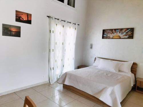 Termoli Bed & Breakfast | Zio Tonino