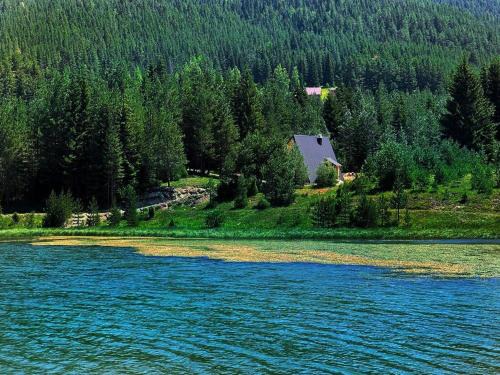 Zabljak Villa | Zminica Lake House