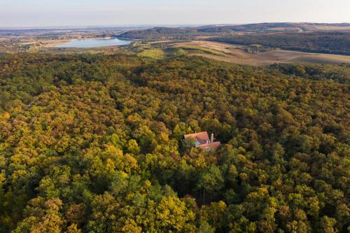 Fehervarcsurgo House | Zseri Vadászház