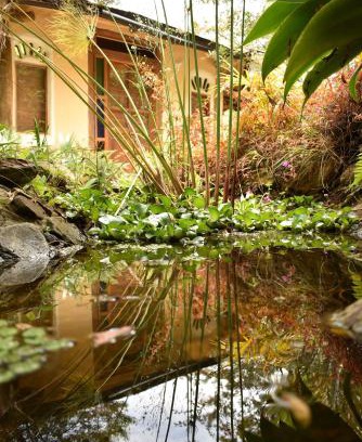 Sutamarchan House | Zuna