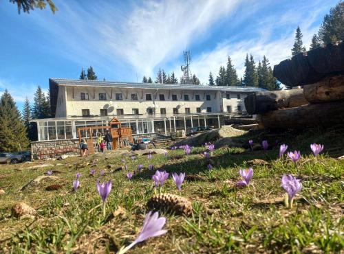 Vitosha District Bed & Breakfast | Zvezditsa Chalet