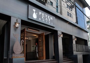 Petercat Hotel Sinchon(Hongdae)