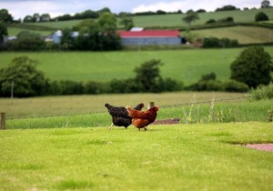 Crofthead Farm House