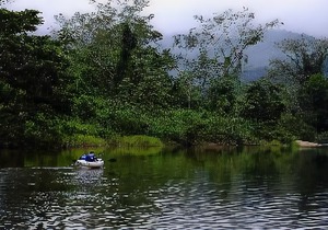 Sleeping Giant Rainforest Lodge