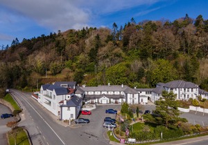 Woodenbridge Hotel