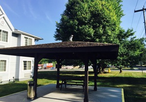 Microtel Inn & Suites by Wyndham Syracuse Baldwinsville