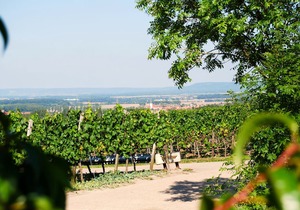 Landhotel Und Weingasthof Schwarzer Adler