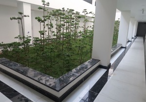 Garco Dragon Hotel 2