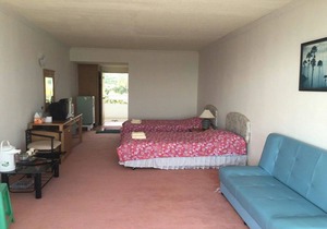 Milford Paradise - No.200