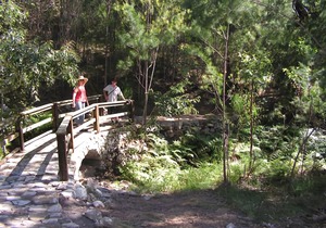 Glass House Mountains Ecolodge