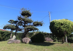 Yadokari Kumano