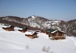 Sfendamos Wood Village