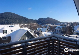 Best Western Plus Hotel Willingen