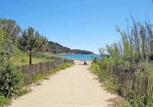 Apartment Gigaro Plage in La Croix-Valmer - 4 persons, 1 bedrooms