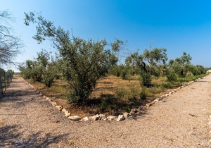 959 Dependance di Villa Dea