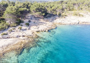 Apartments Jelka (49712-A4) - Vrboska - island Hvar