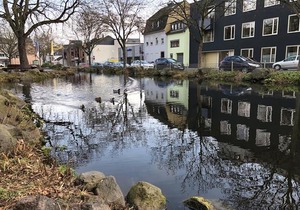 Ferienwohnung 'am Ochsentor'