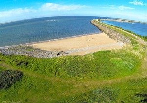 The Bear on the Square