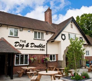 The Dog Doublet Inn 