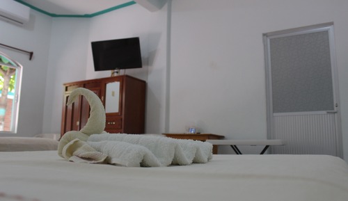 Basic Twin Room