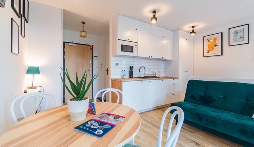 Basic Studio Suite