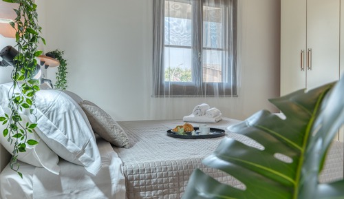 Basic Apartment