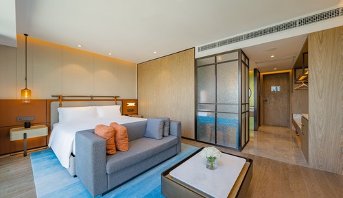 Premium Room, 1 King Bed, City View