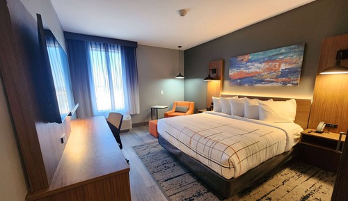Room, 1 King Bed, Non Smoking