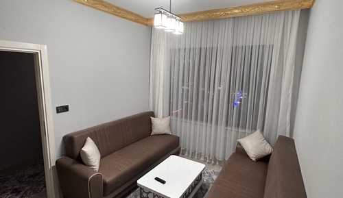 Basic Suite