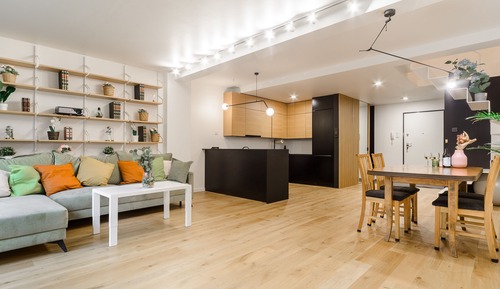 Luxury Apartment