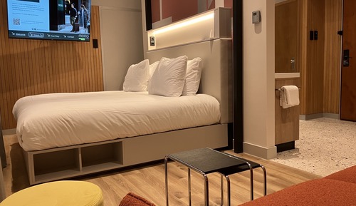 Room, 1 King Bed with Sofa bed