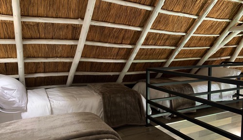 Room, Multiple Beds