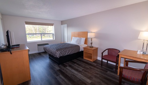 Premium Room