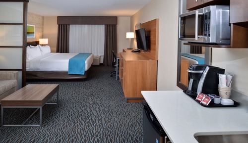 Suite, 1 King Bed with Sofa bed