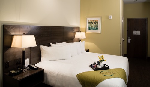 Deluxe King Room, Non Smoking