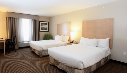 Standard Double Room, 2 Queen Beds